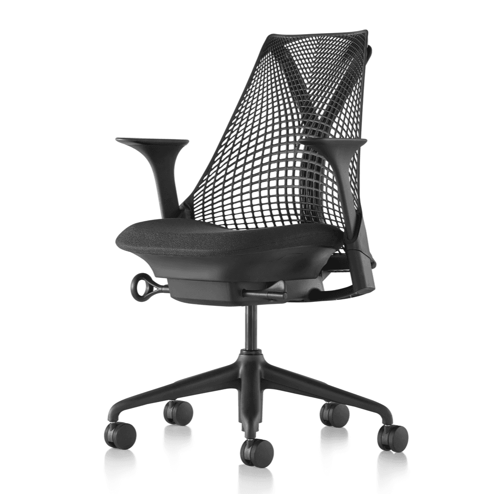 Herman Miller say Ergonomic Chair