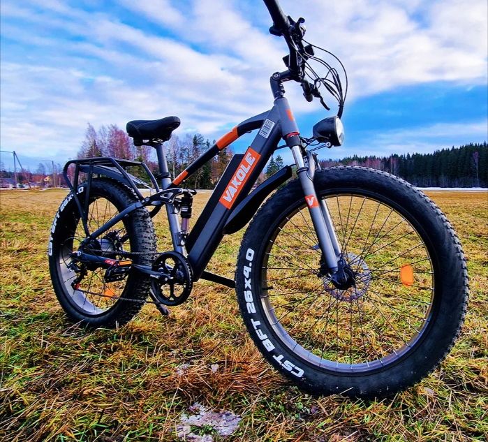  Vakole CO26 750W 26 Fat Bike E-Mountainbike 48V 16Ah Fully E-Bike [Pre-Order]